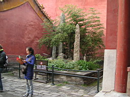 200608_190708b 110.jpg